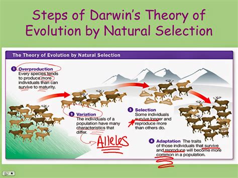 泛生論|達爾文演化論Darwins Evolutionary Theory